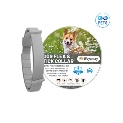 Collar Antipulgas y Garrapatas – Protección segura y prolongada