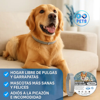 Collar Antipulgas y Garrapatas – Protección segura y prolongada