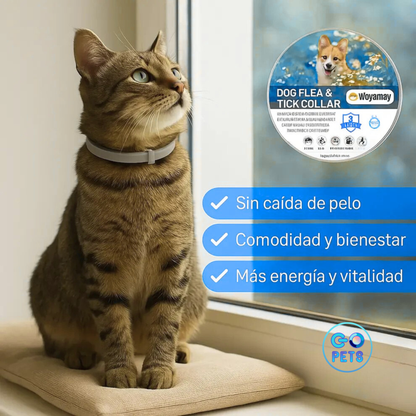 Collar Antipulgas y Garrapatas – Protección segura y prolongada