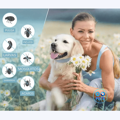 Collar Antipulgas y Garrapatas – Protección segura y prolongada